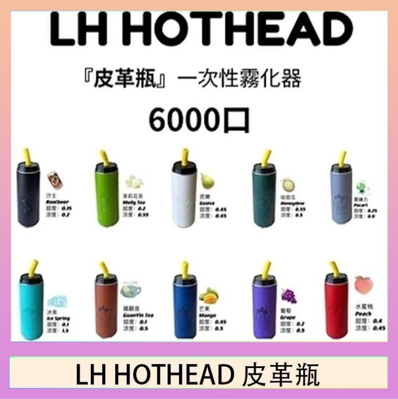 LH HOTHEAD皮革 LH HOTHEAD皮革瓶電子煙可充電6000口一次性